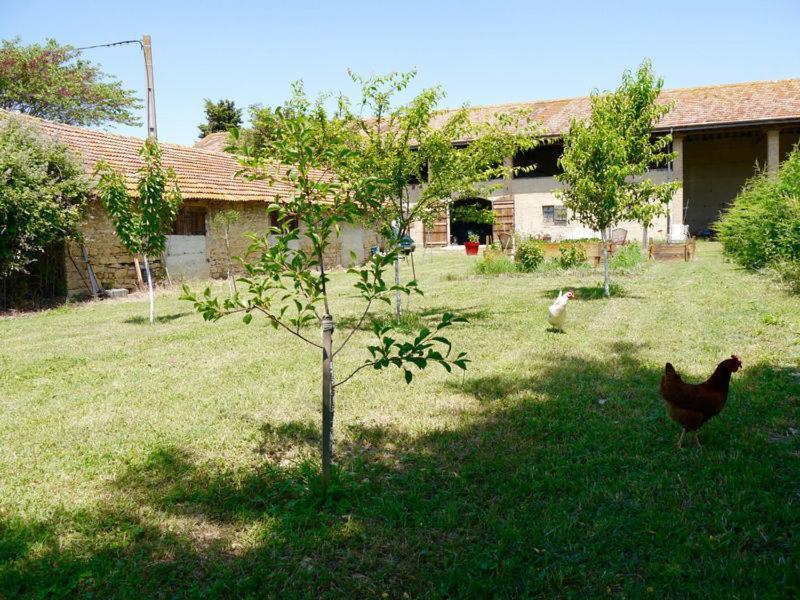 Ferme St Pierre 2 Suites Avec Repas, Piscine, Clim, Cheminee Ou Baignoire Spa Chabeuil Екстер'єр фото